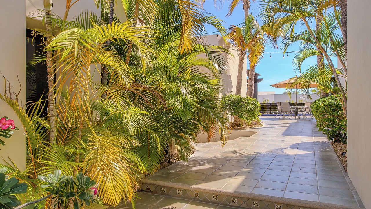 Photo of Outdoor in Cabo Bello