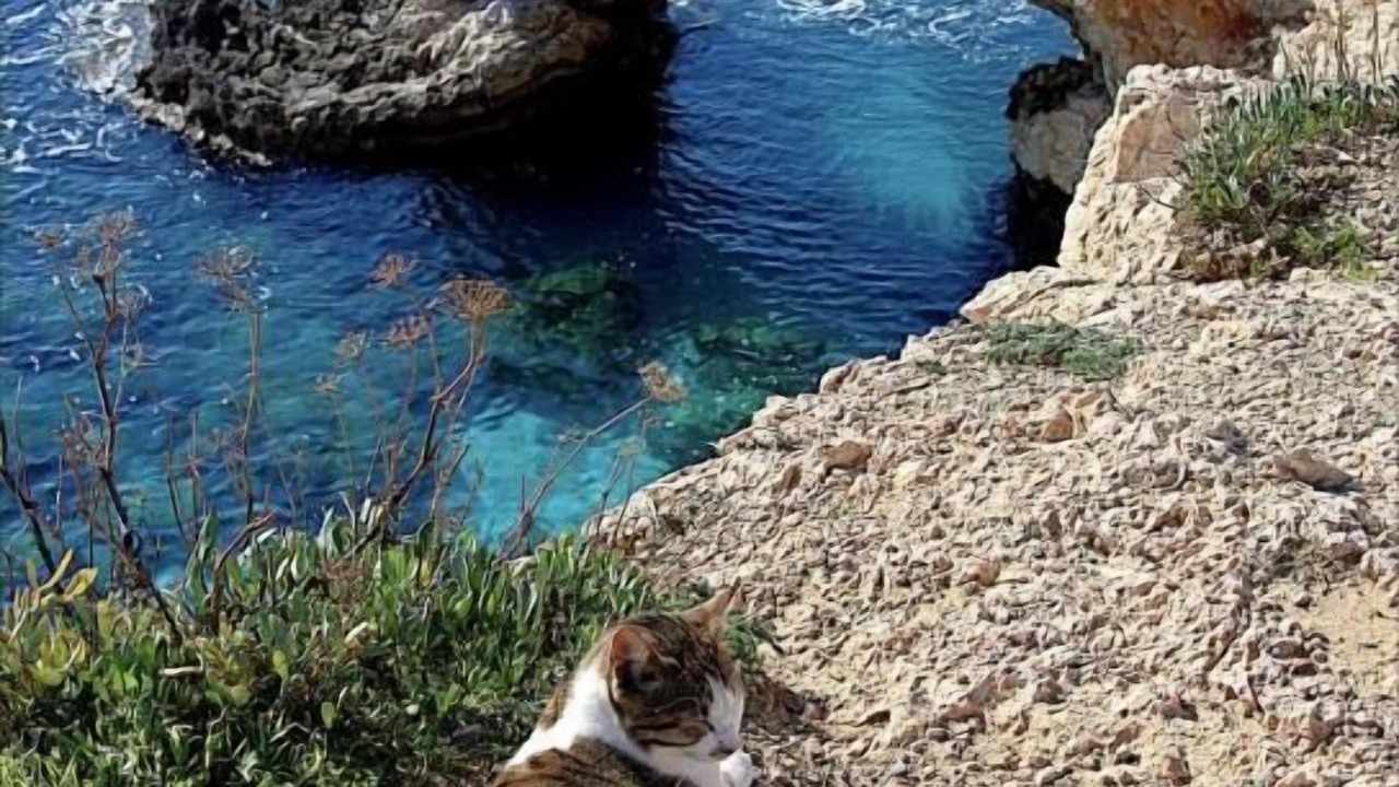 Photo of Others in Ayia Napa