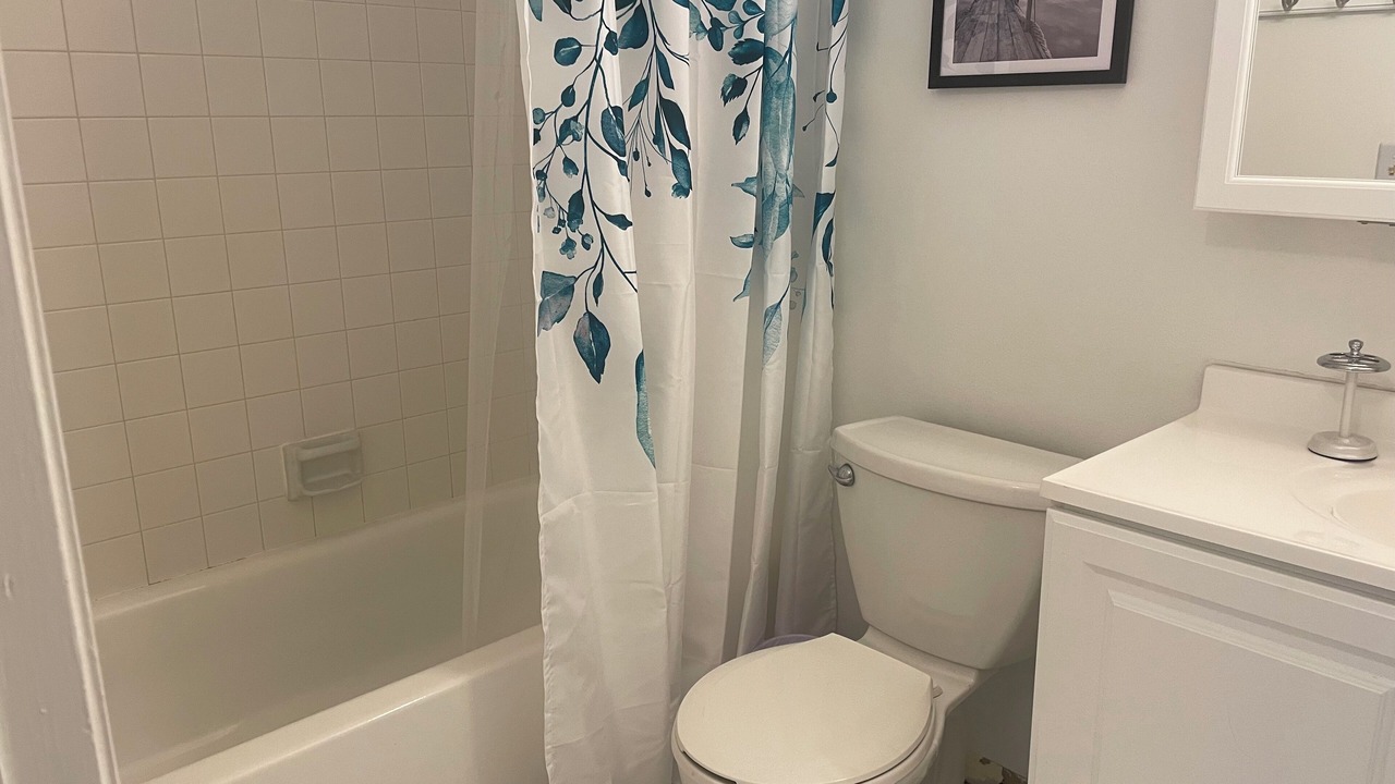 Photo of Bathroom in Safety Harbor