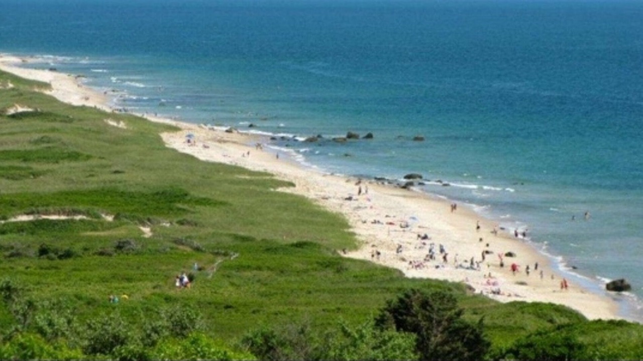 Photo of Others in Aquinnah