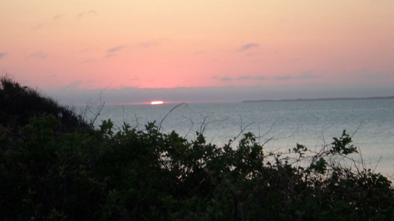 Photo of Others in Aquinnah