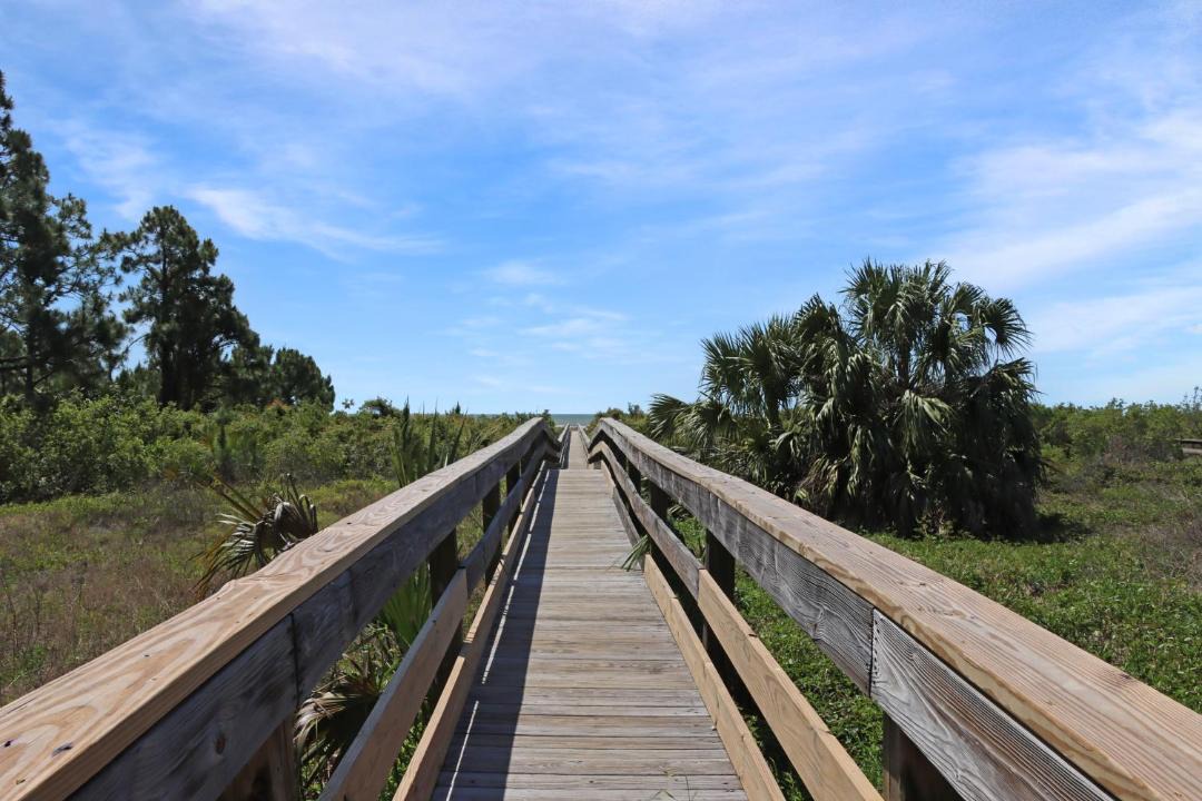 Photo of Others in Cape San Blas