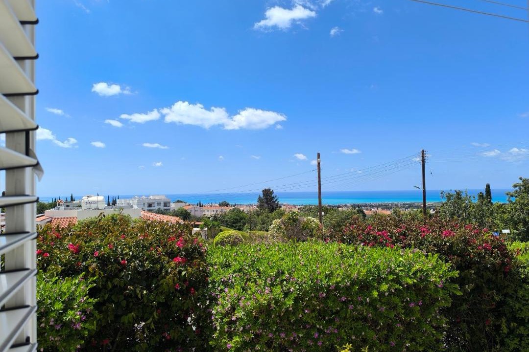 Photo of Others in Peyia Town