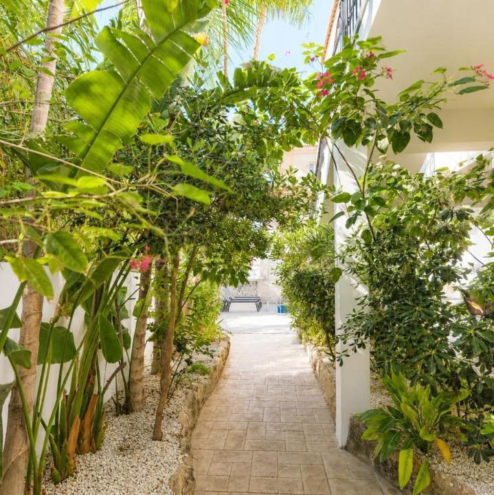 Photo of Others in Kapparis