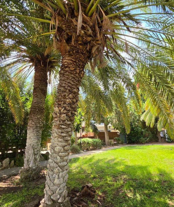 Photo of Others in Paphos