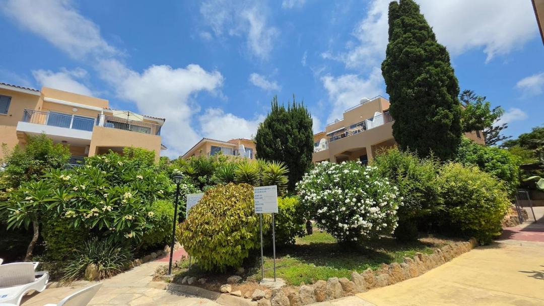 Photo of Others in Paphos