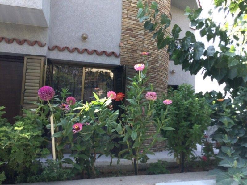 Photo of Others in Agia Fyla