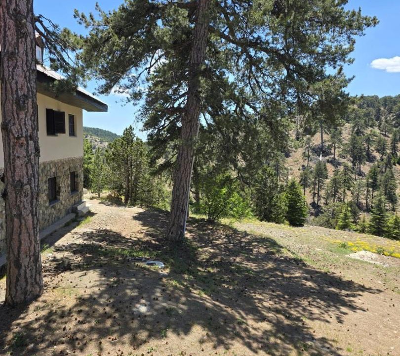 Photo of Others in Troodos