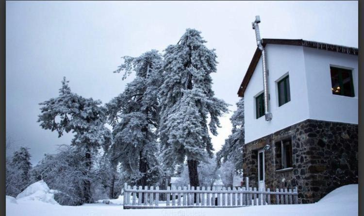 Photo of Others in Troodos