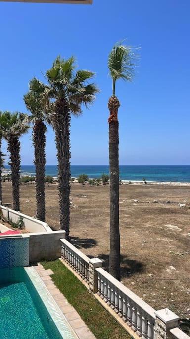 Photo of Others in Paphos