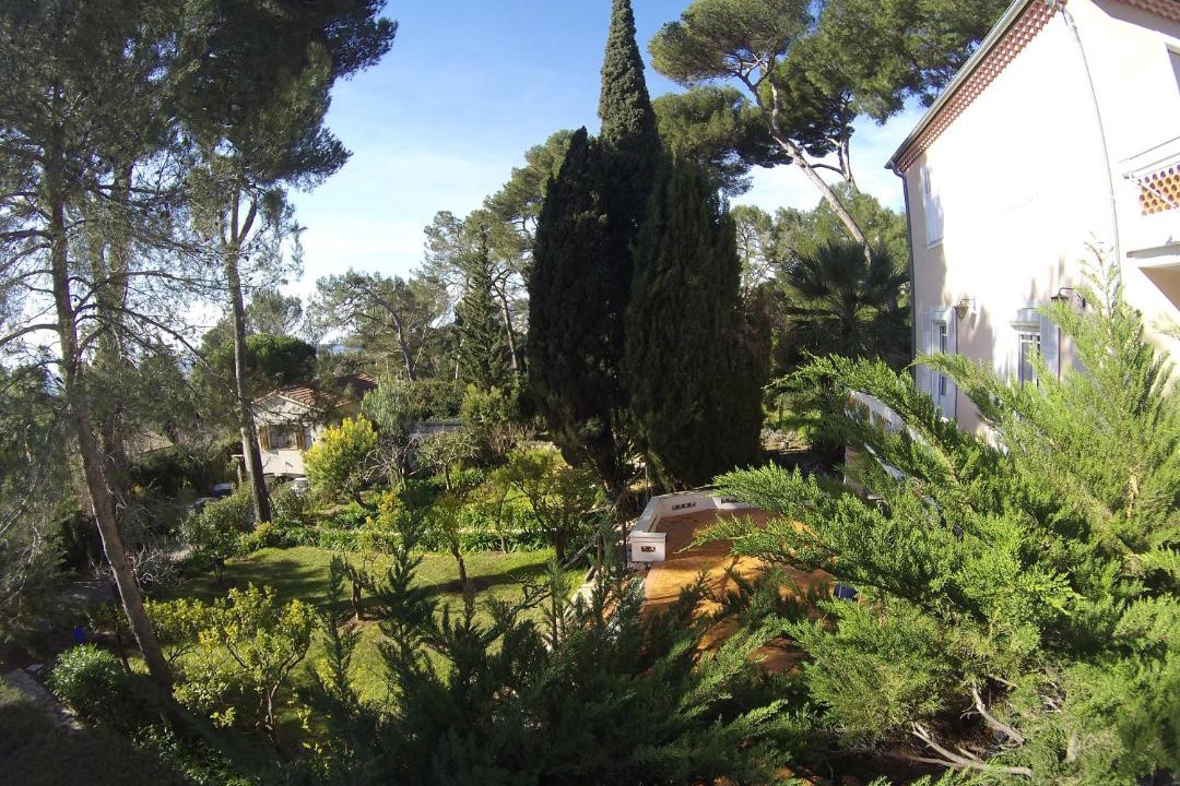 Photo of Others in Antibes
