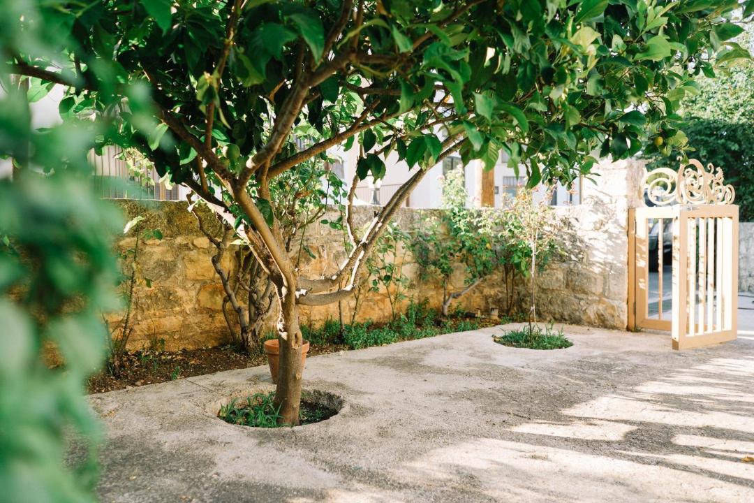 Photo of Others in Pano Arodhes