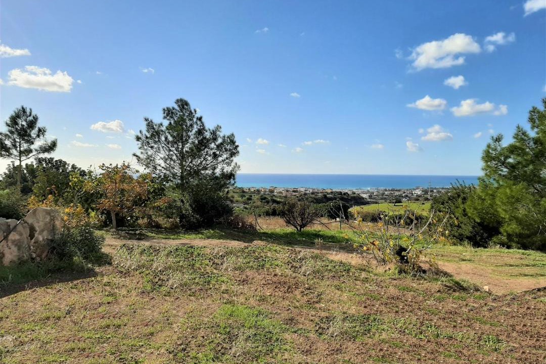 Photo of Others in Pegeia