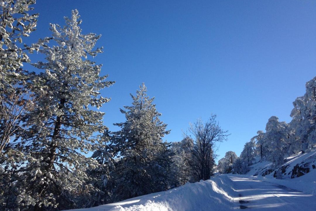 Photo of Others in Troodos