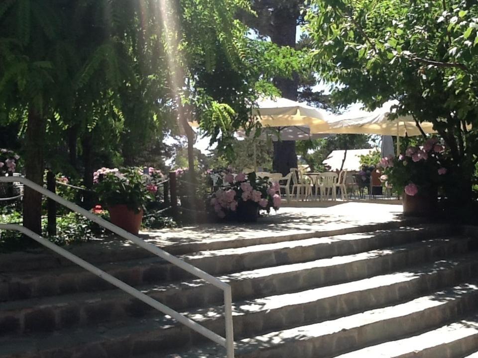 Photo of Others in Troodos