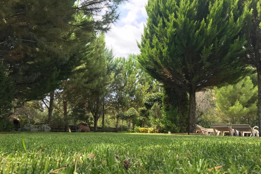 Photo of Others in Koilani