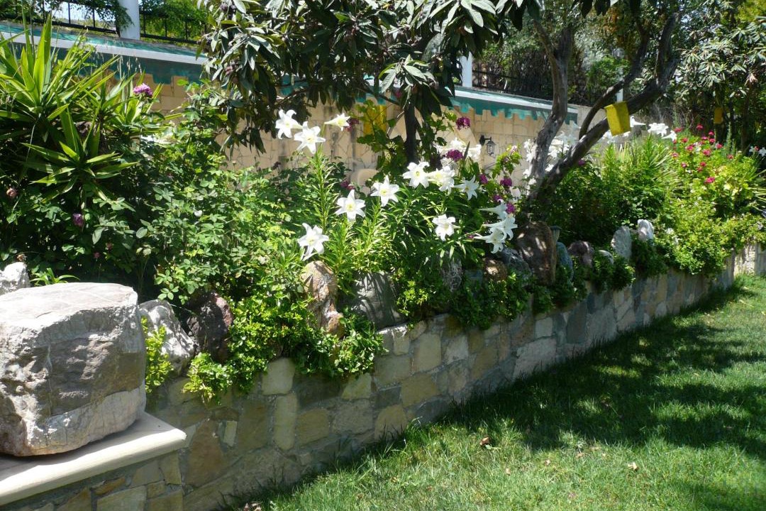 Photo of Others in Germasogeia