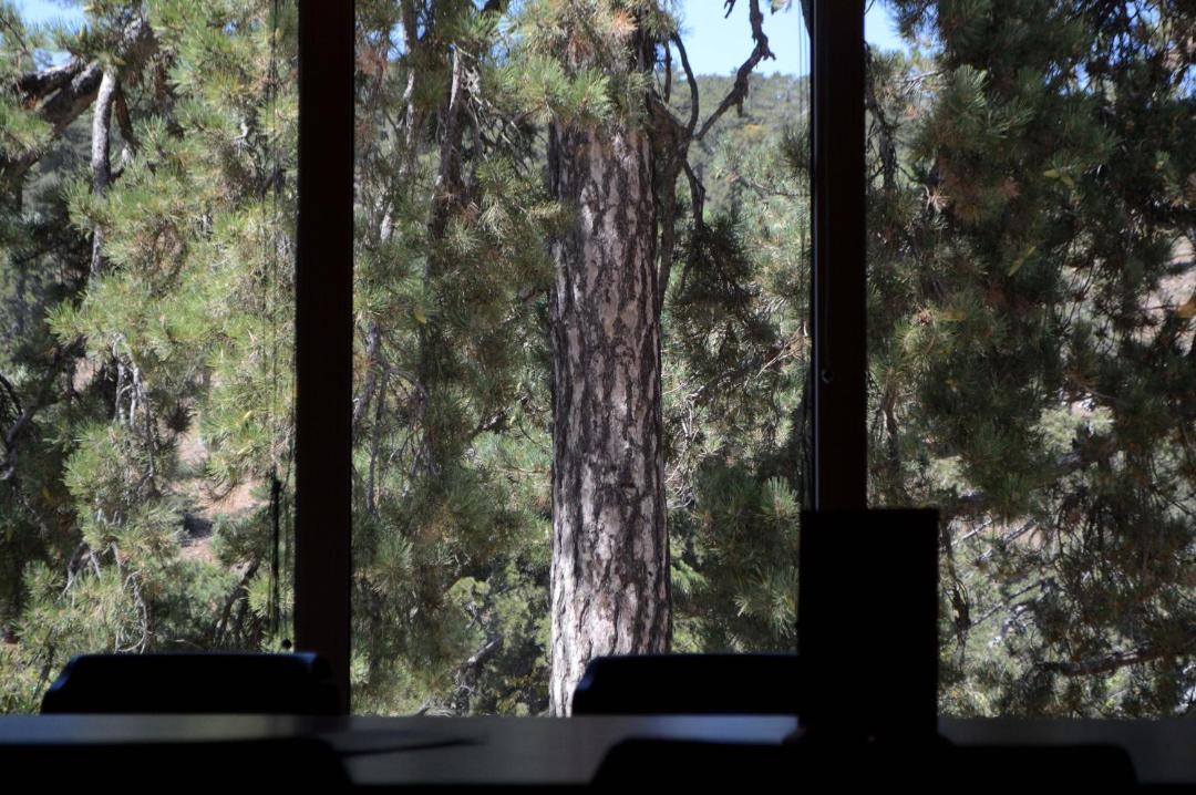 Photo of Others in Troodos