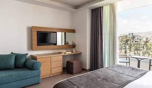 Deluxe Double or Twin Room, City View