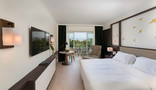 Executive Room, 1 King Bed