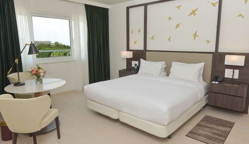 Room, 1 King Bed