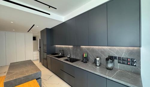 Deluxe One-Bedroom Apartment