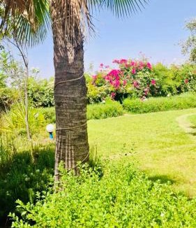 Saada House | Family villa