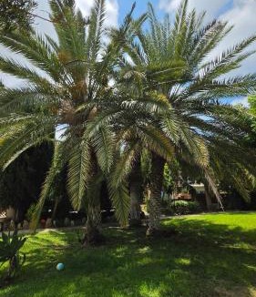 Paphos Villa | Villa Nadezda