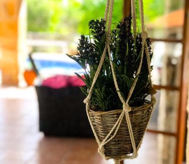 Pano Akourdalia Villa | Koutsini Villa