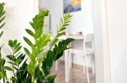 Limassol Apartment | Charming 1-BR Stay Near City Centre, Marina and Beaches by Cyprus Horizons - Perfect for Couples, Business or Solo Travellers