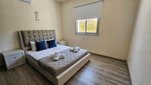 Geroskipou Villa | Villa Akti Plage 3 Bed
