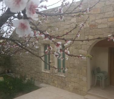 Pano Akourdalia Villa | Villa Koumneni