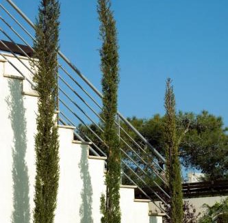 Pissouri Villa | Villa Vikla