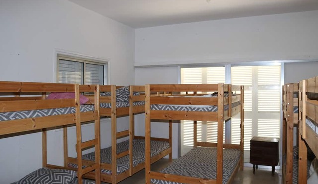 Costas Hostel Action 2