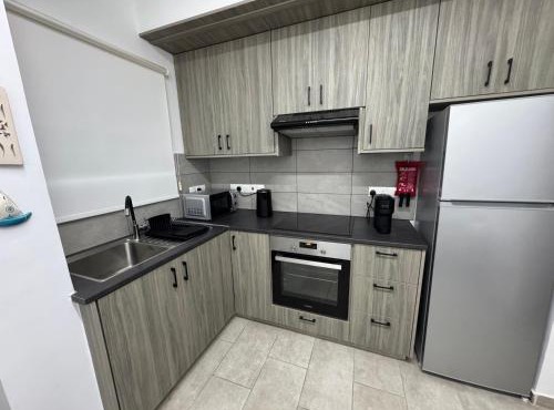 Nicosia Business Apartment