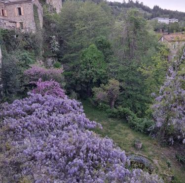 Maison de Maître du domaine des Lys